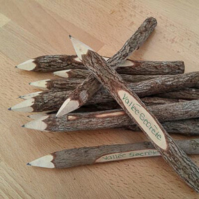Les crayons de bois